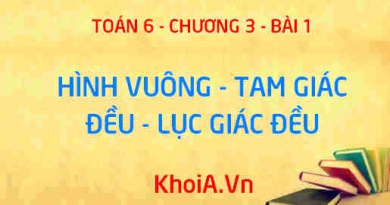 Hình vuông, Tam giác đều, Lục giác đều là gì? Có đặc điểm gì? Các vẽ hình vuông, tam giác đều - Toán 6 bài 1